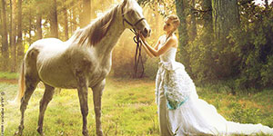 wedding-props-horse-001