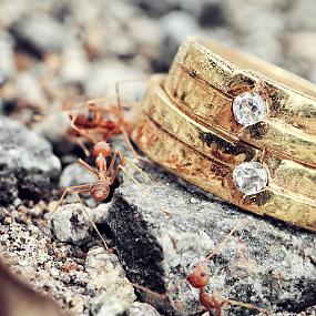 wedding-ring-and-stones-08