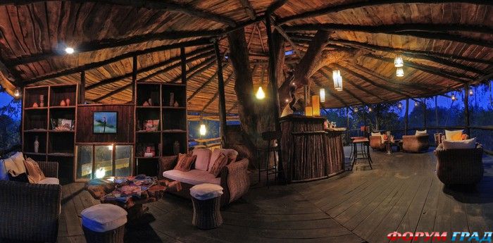 В отеле Tree House Hideaway