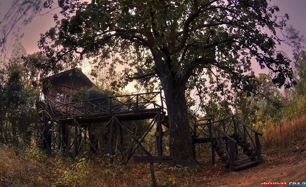 Отель Tree House Hideaway