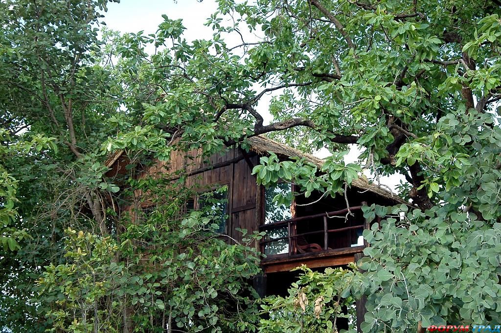 Отель Tree House Hideaway