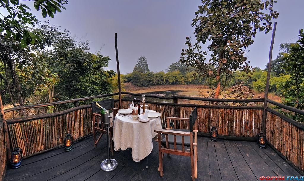 tree-house-hideaway-14