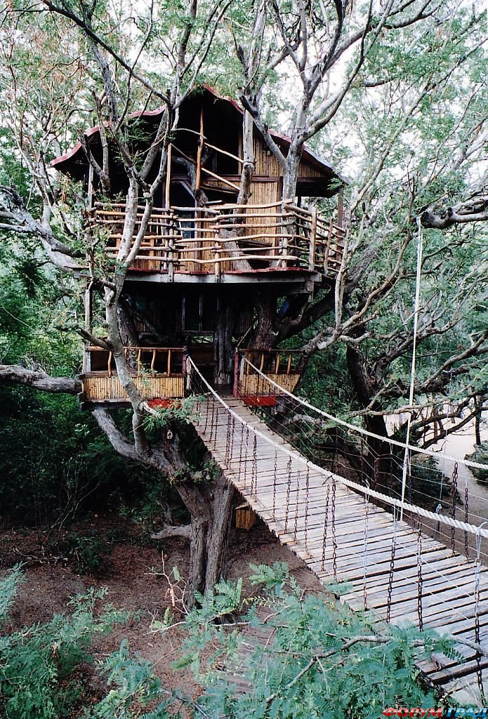 nanshan-treehouse-resort-02