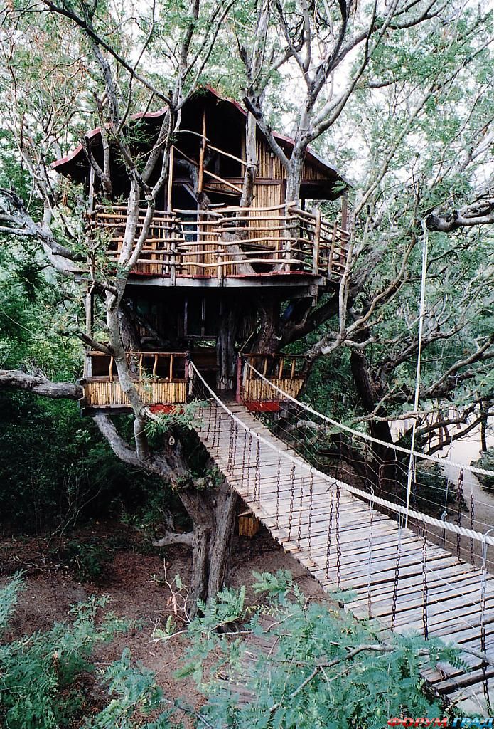 Отель Nanshan Treehouse Resourt