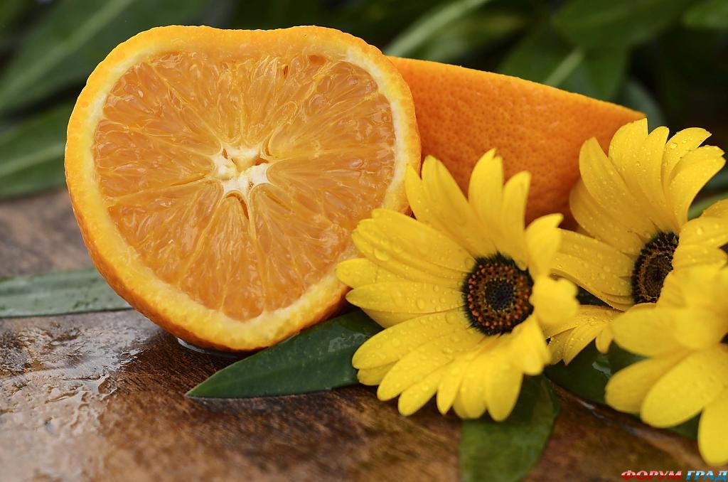 ягоды для здорового питания