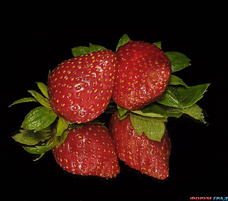 ягоды для здорового питания