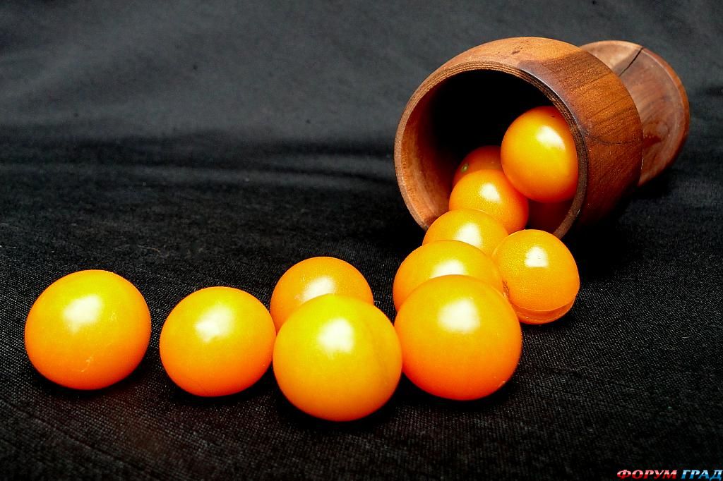 ягоды, фрукты фото