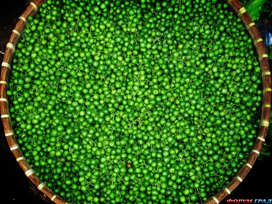 ягоды, фрукты фото