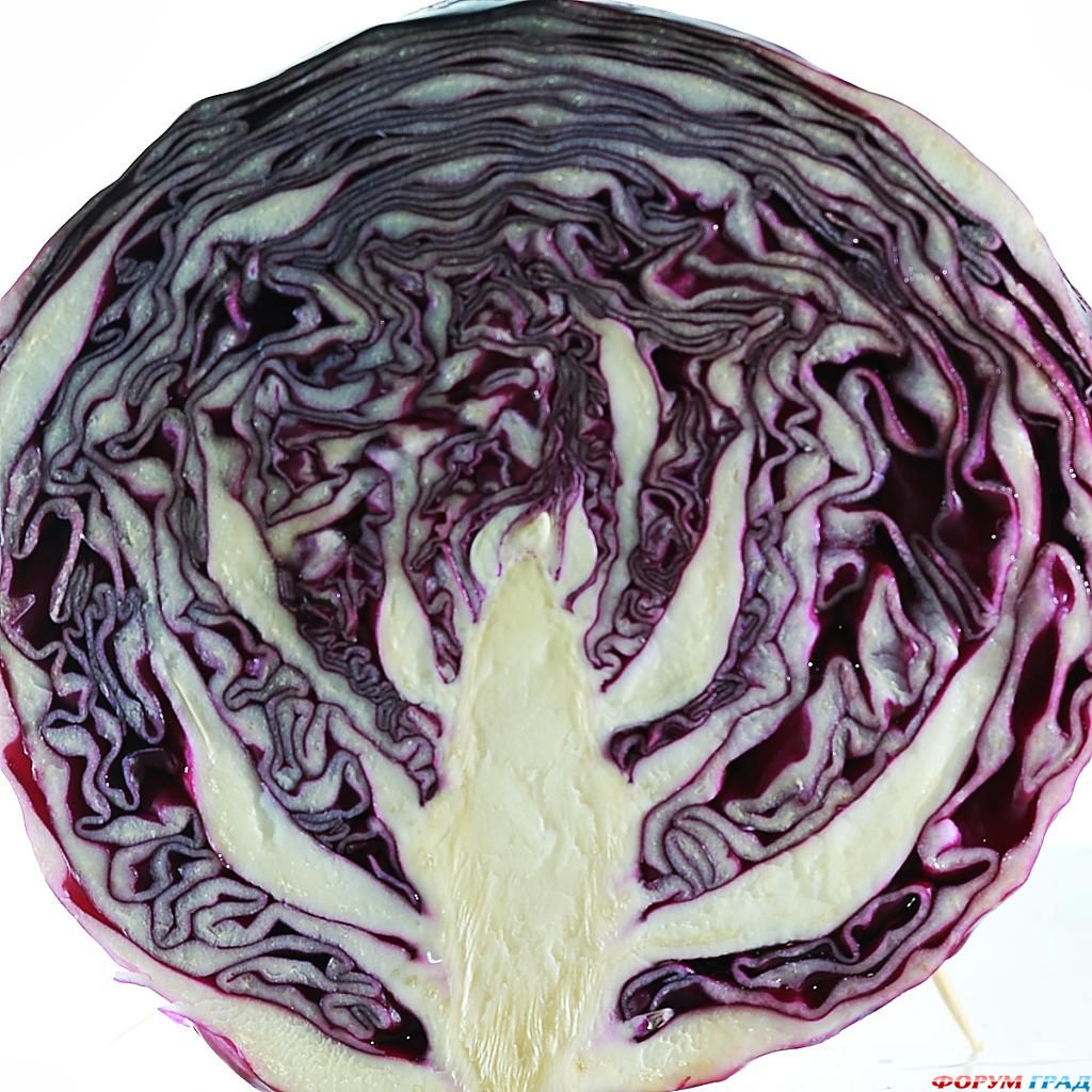 фото фрукты и овощи