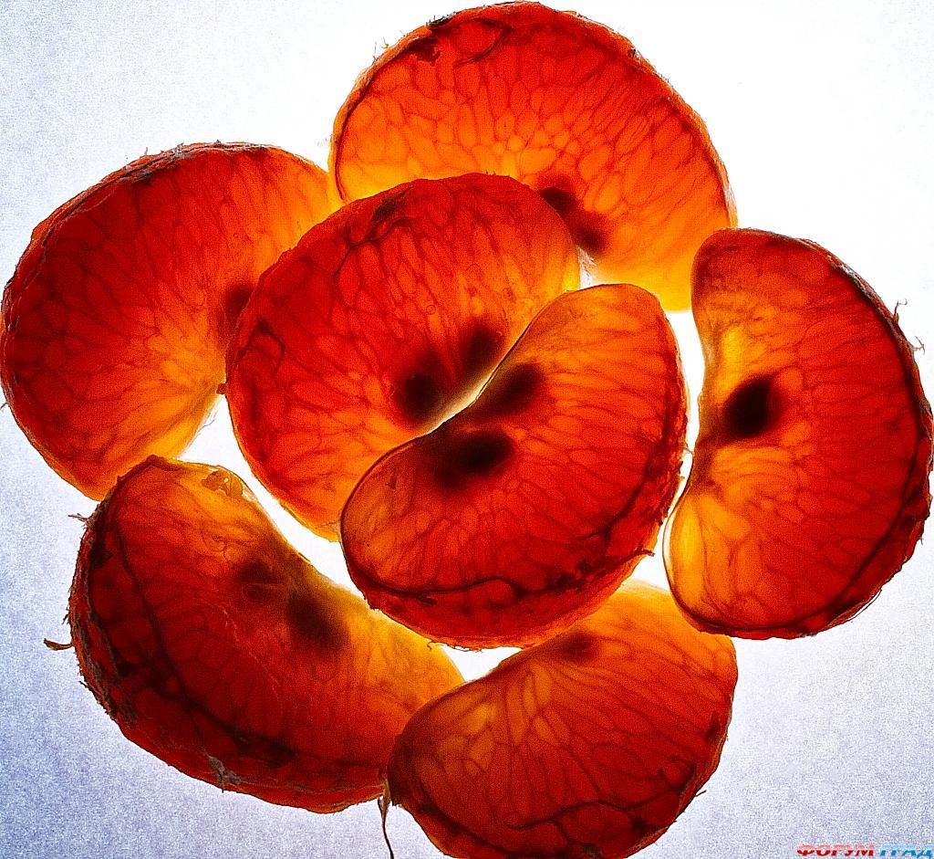 фото фрукты и овощи