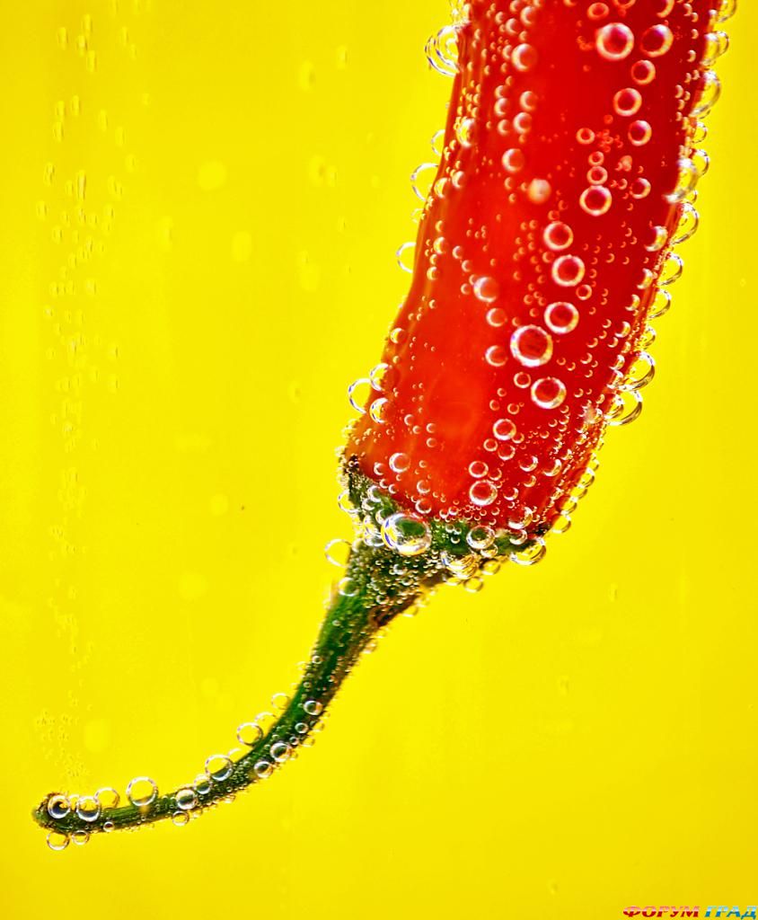 фото фрукты и овощи