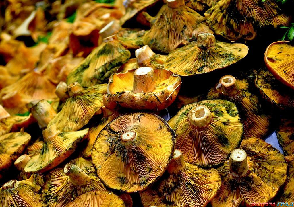 фото фрукты и овощи