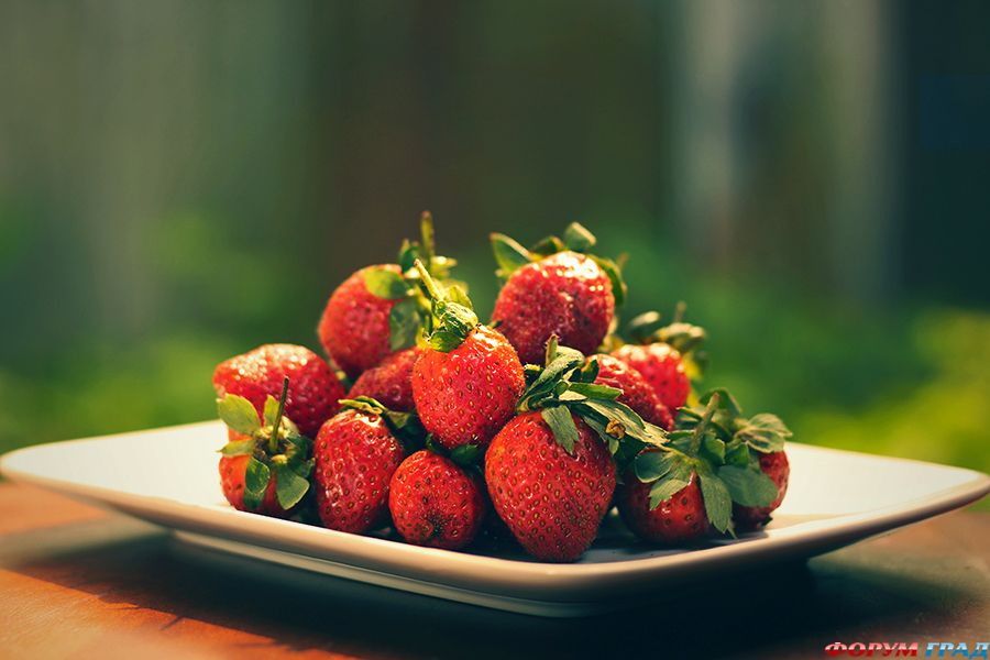 фото фрукты и овощи