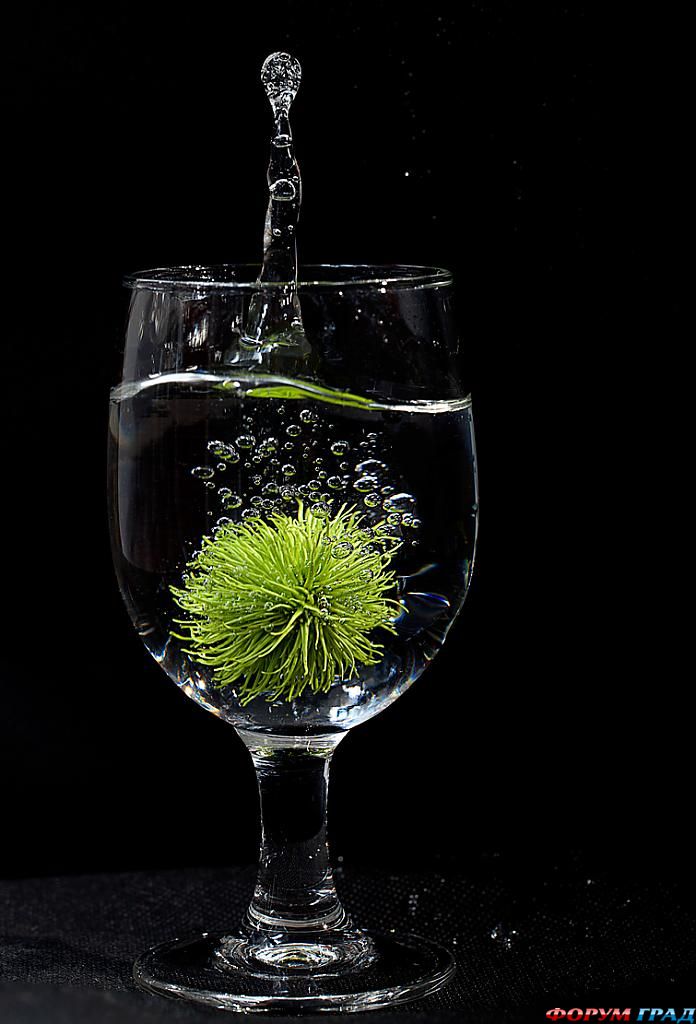 фото фрукты и овощи