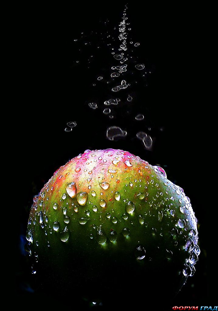 фото фрукты и овощи