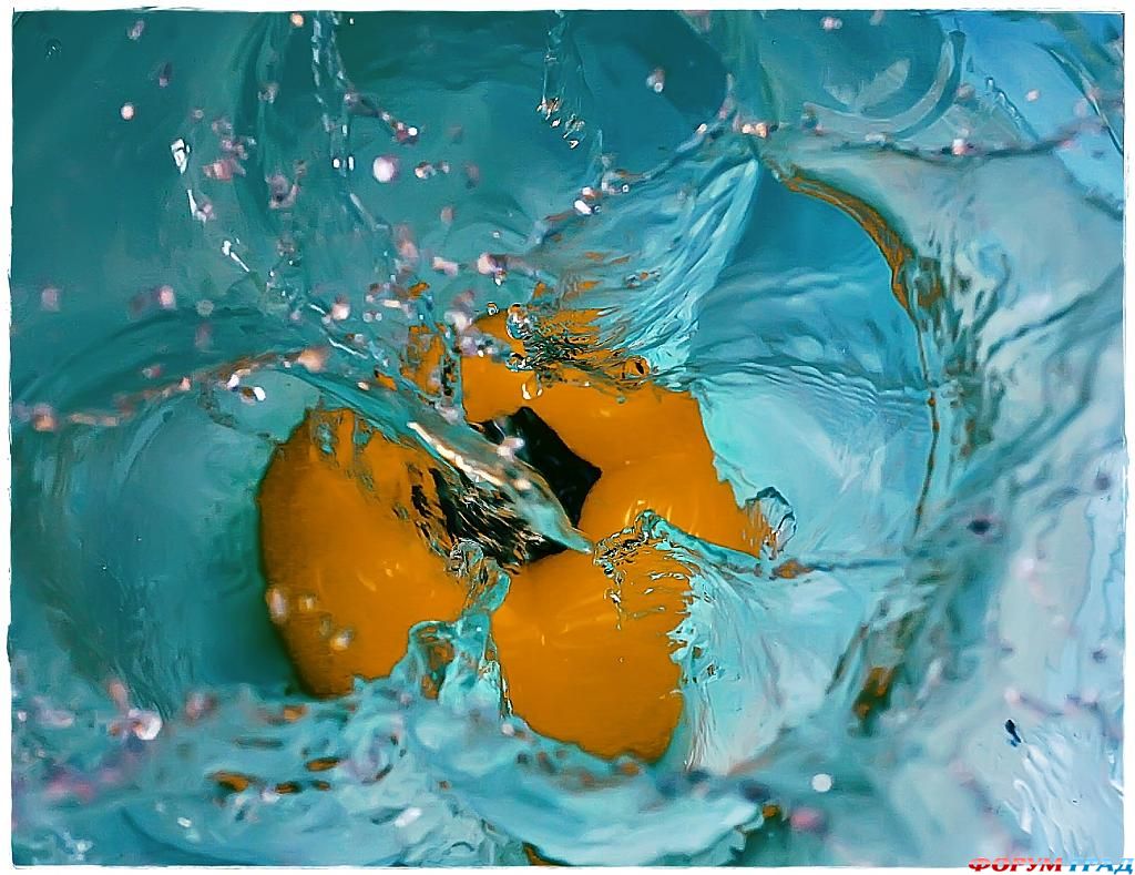 фото фрукты и овощи