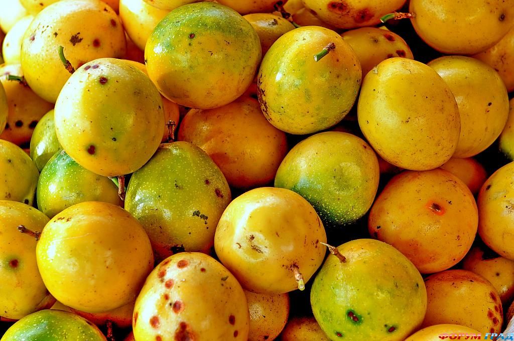 ягоды, фрукты и овощи фото