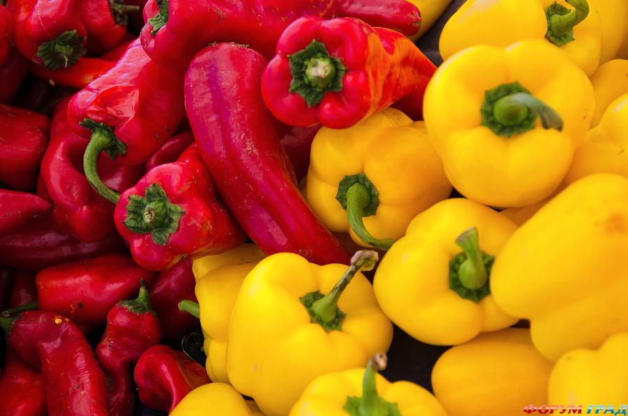 ягоды, фрукты и овощи фото