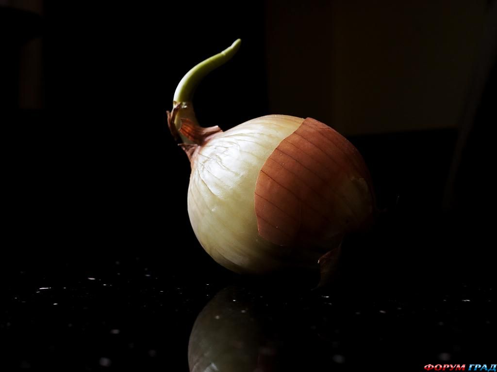 ягоды, фрукты и овощи фото