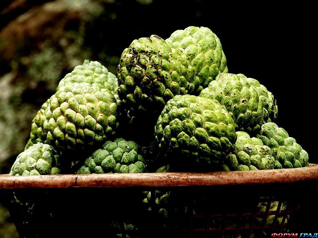 ягоды, фрукты и овощи фото