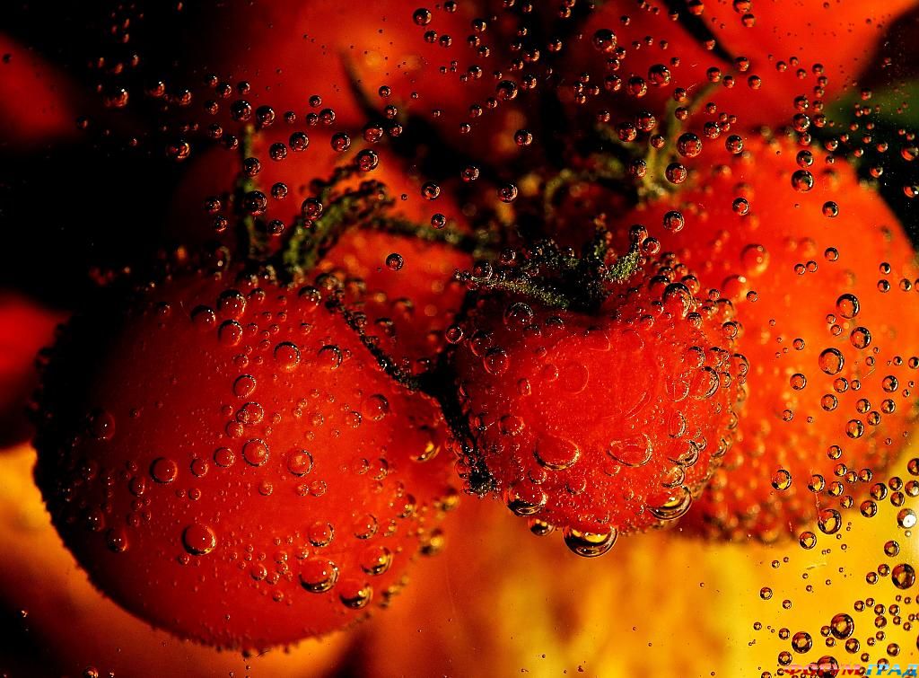 фото для здорового питания