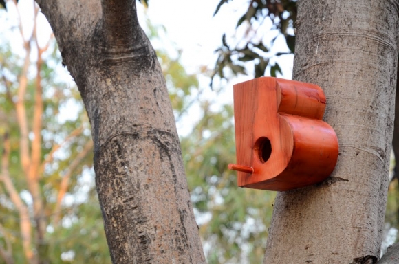 birdhouses-nishant-jethi-02