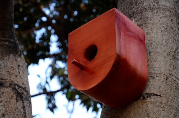 birdhouses-nishant-jethi-03