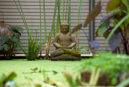 garden-harmony-09