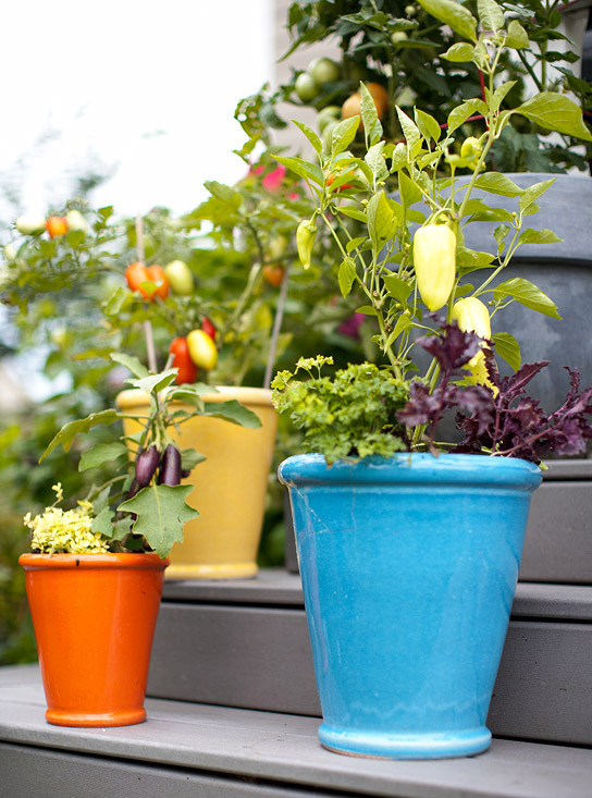 ideas-garden-04