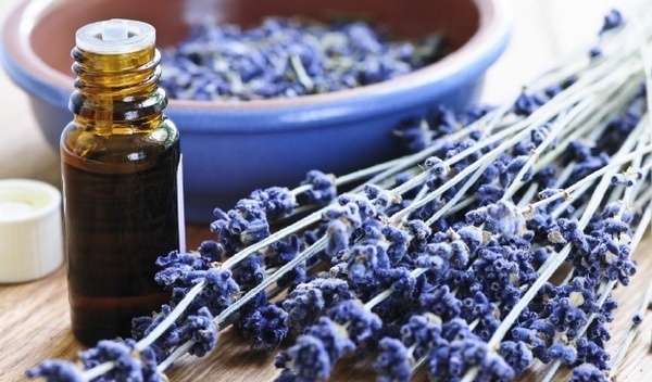 lavender-garden-01