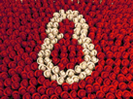Миллион роз для мамы