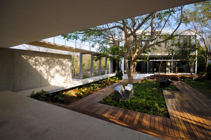arbol-dentro-de-casa-04