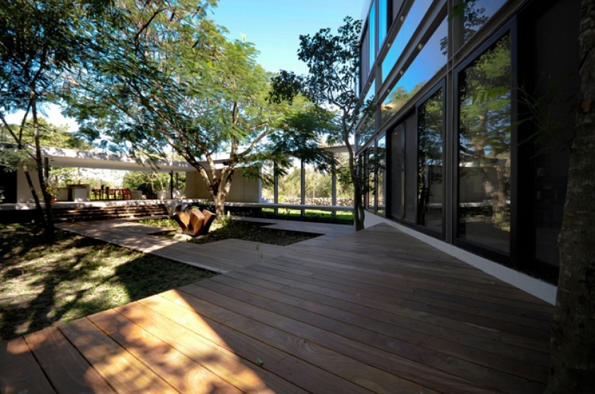 arbol-dentro-de-casa-05