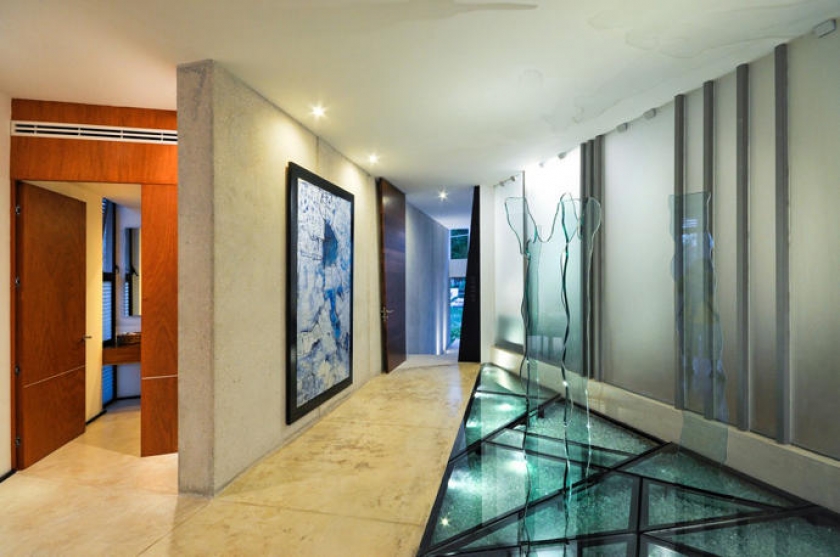arbol-dentro-de-casa-10