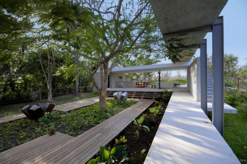 arbol-dentro-de-casa-19