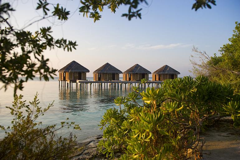 diva-holiday-resort-maldives-15